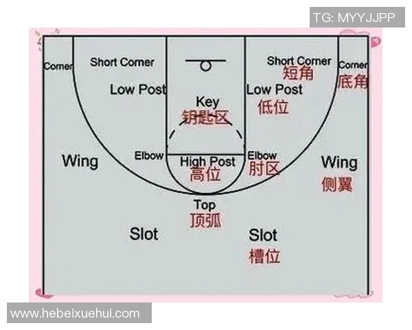 南京篮球队的节奏解析与发展探讨聚焦球队风格与战术演变 南京篮球队的节奏解析与发展探讨聚焦球队风格与战术演变