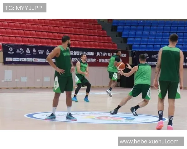 广州篮球队的默契配合分析与战术探讨助力球队提升整体实力