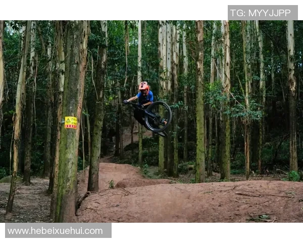 广州极限运动队创历史新高运动状态排名引发热议与关注