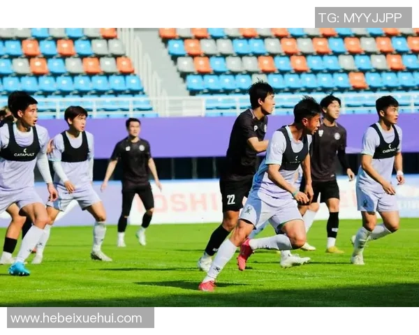 杭州足球队的控制革新探索与未来发展路径分析