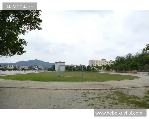 小牛足球培训助力青少年成长打造足球梦想的摇篮与未来之路